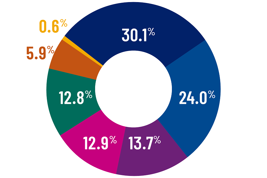 Pie chart showing the self-identified race or ethnicity of the Emory College class of 2022
